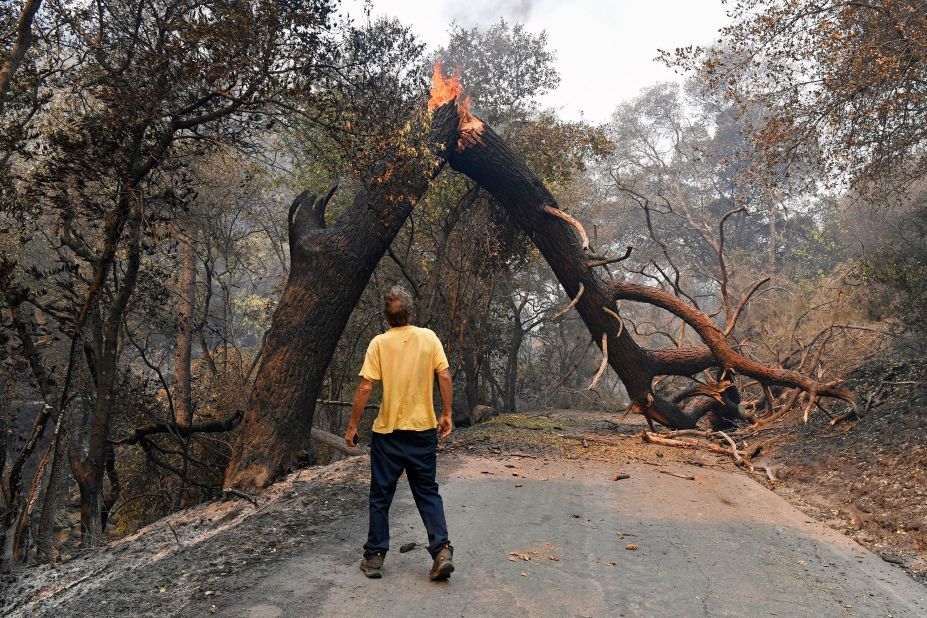 A man looks at a tree blocking his way after a fire ravaged Vacaville, California, on August 20, 2020.