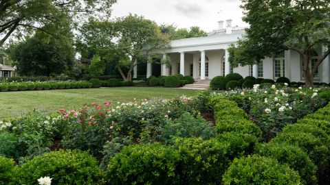 05 white house rose garden renovation