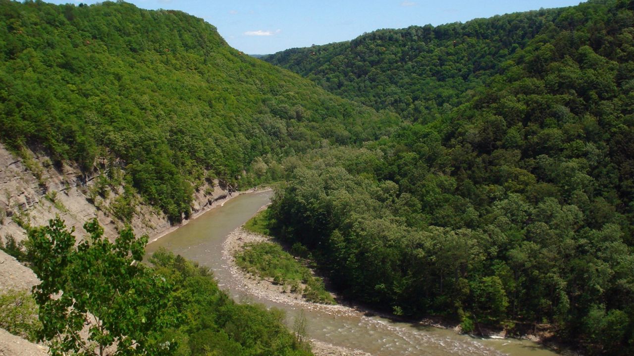 Forests along the main branch of Cattaraugus Creek in Zoar Valley in western New York.