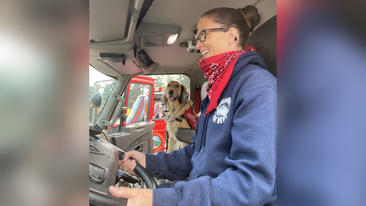When Kerith isn't riding shotgun in the firetruck she is acting as a therapy dog to firefighters in Marin County. 