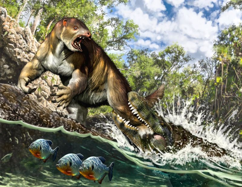 This artist's illustration shows a young Purussaurus attacking a ground sloth in Amazonia 13 million years ago. 