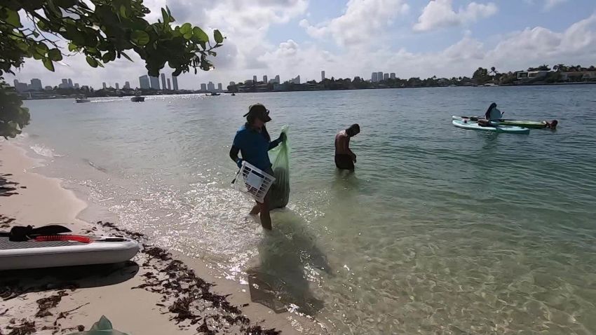 Staying Well Paddleboarding and Volunteering for Wellness_00002611.jpg