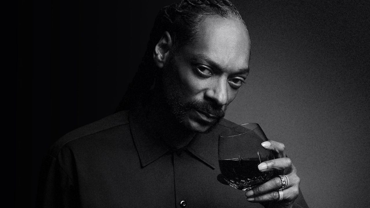Snoop Dogg 19 crimes