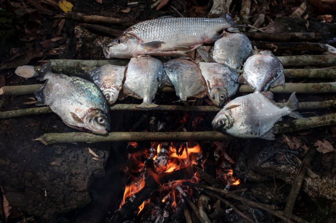 The Uru-Eu-Wau-Wau fish using bows and arrows. These fish were caught in the Jamari River. 