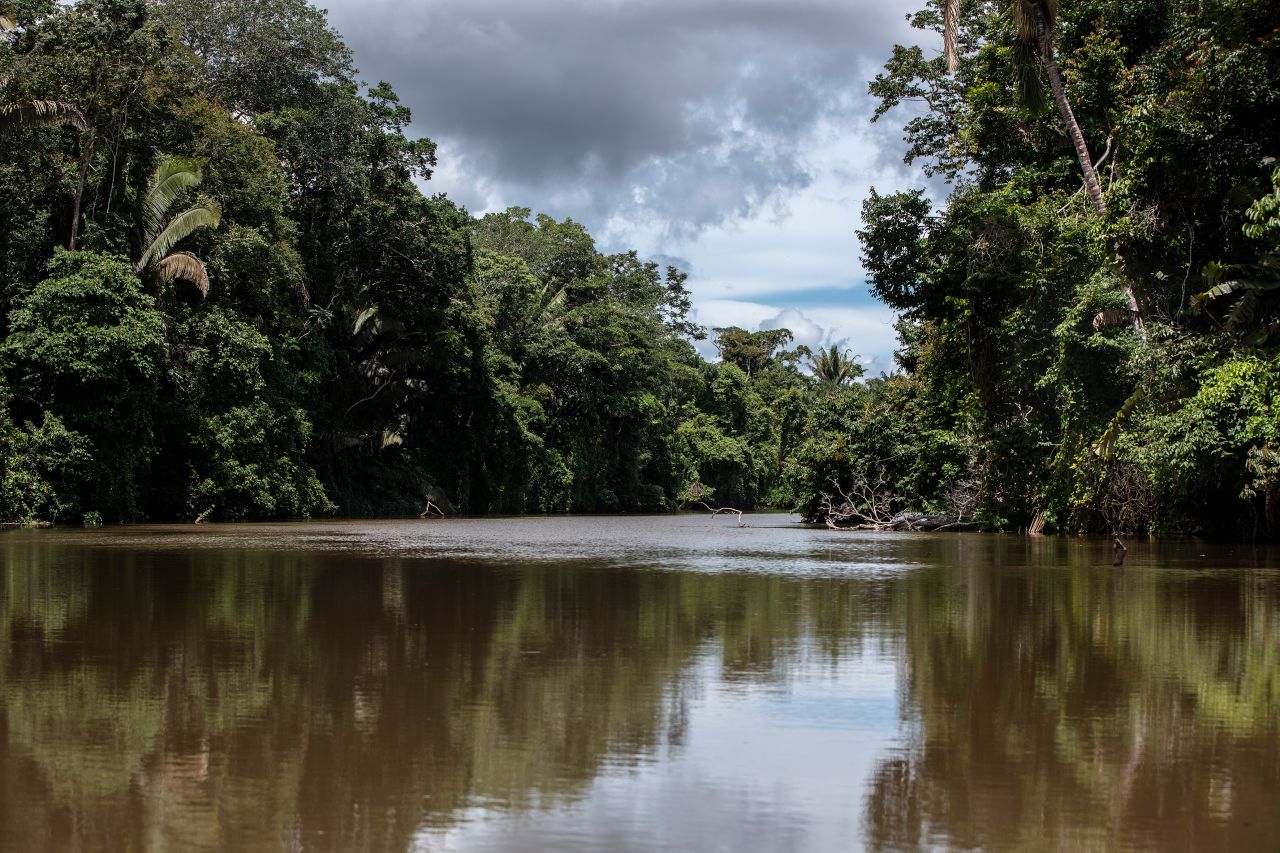 The Jamari river is one of a number of rivers and waterways that flow through Uru-Eu-Wau-Wau territory.