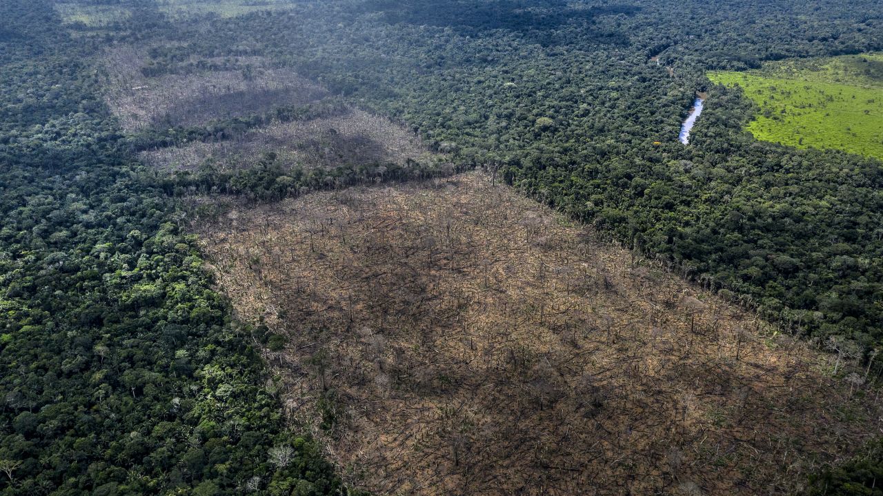 The Uru-Eu-Wau-Wau found this deforested area of 1.4 hectares (roughly the size of two American football fields) on their territory on their first drone surveillance after the training course.