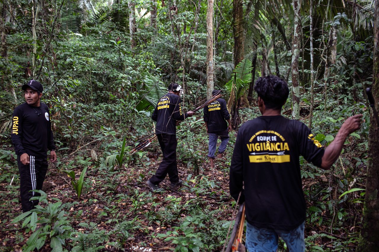 The Uru-Eu-Wau-Wau surveillance team finds an area that has been cleared by loggers. The team, led by Awapy, go out on patrol once a month.