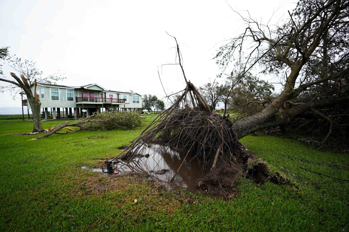 An uprooted tree sits in the aftermath of Hurricane Laura in Sabine Pass in Port Arthur, Texas, on Thursday.