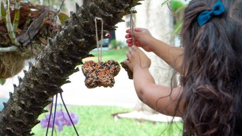 MelaoCo DIY Bird Feeders for Children