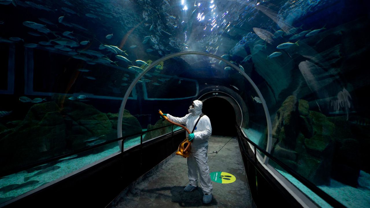<strong>Rio de Janeiro, Brazil:</strong> A worker disinfects the oceanic tunnel of the Rio de Janeiro Aquarium (AquaRio) prior to its reopening on August 15. 