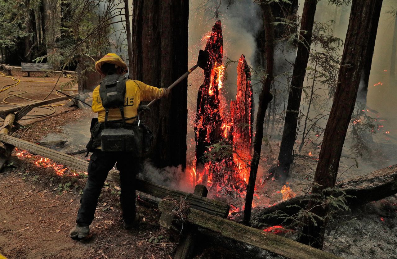 Firefighter Juan Chavarin pulls down a burning tree trunk in Guerneville, California, on August 25, 2020.