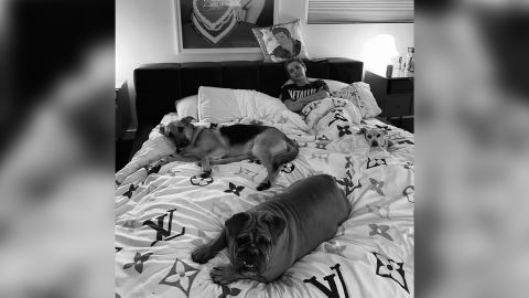 The renamed bulldog lounges at her new home with singer Miley Cyrus.