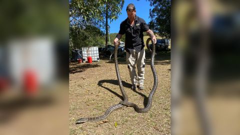 Brown pictured with the two snakes.