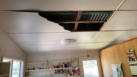 The snakes crashed through a ceiling.