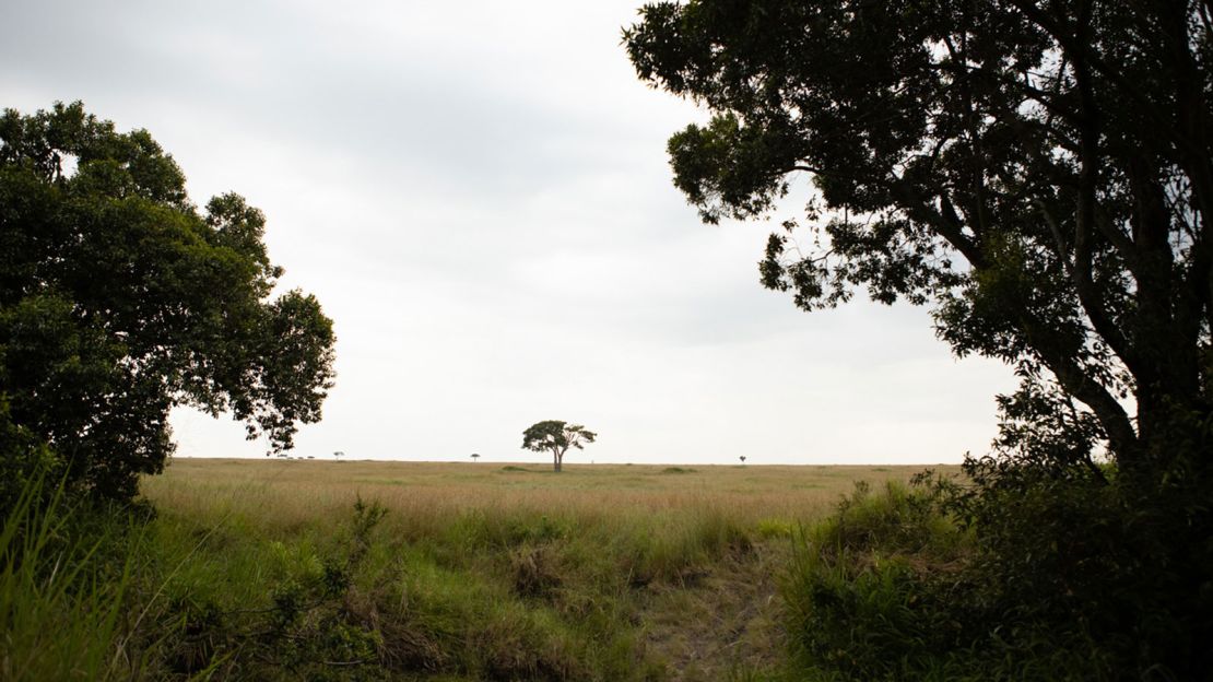 The view from the new Angama Safari Camp in Kenya's Maasai Mara