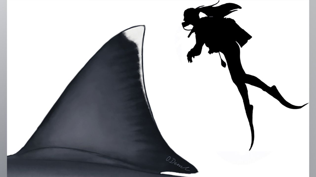 Measuring an estimated 1.6 meters (5.3 feet), the megalodon's fin was as tall as an adult human.