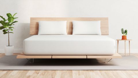 Vaya's Vaya Mattress