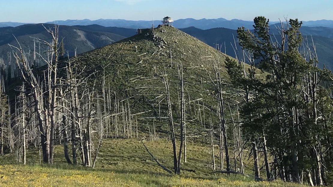 Because Gird Point is above the treeline on a high promontory, it doesn't need many flights of stairs; others are elevated by 50-plus feet.