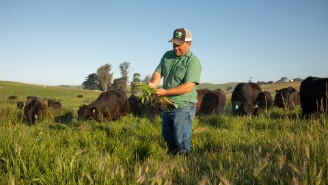 Loren Poncia on Stemple Creek Ranch in Tomales, California.