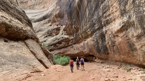 Hiking the Grand Wash slot canyon in Capitol Reef National Park