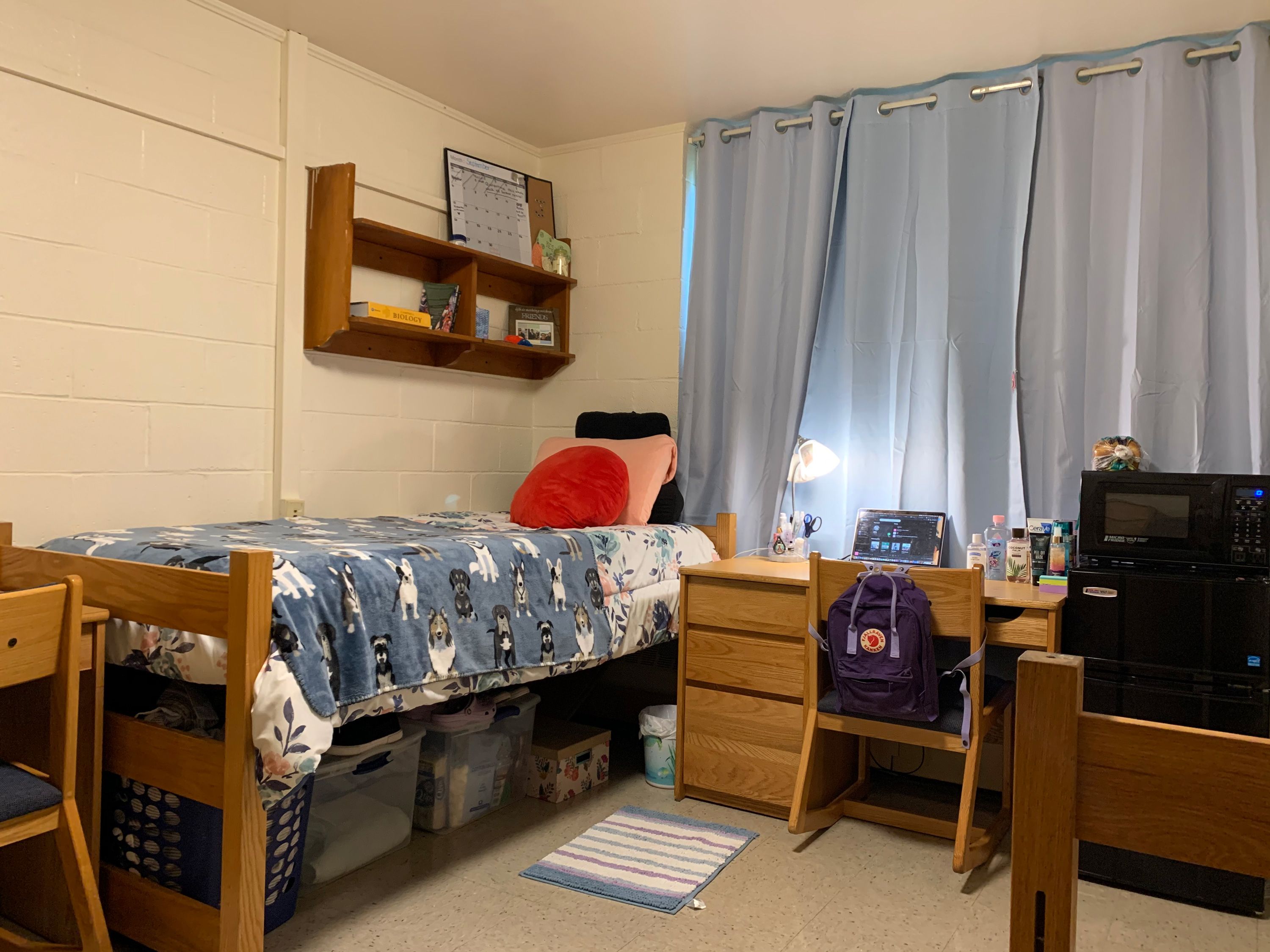 Are Dogs Allowed In College Dorms