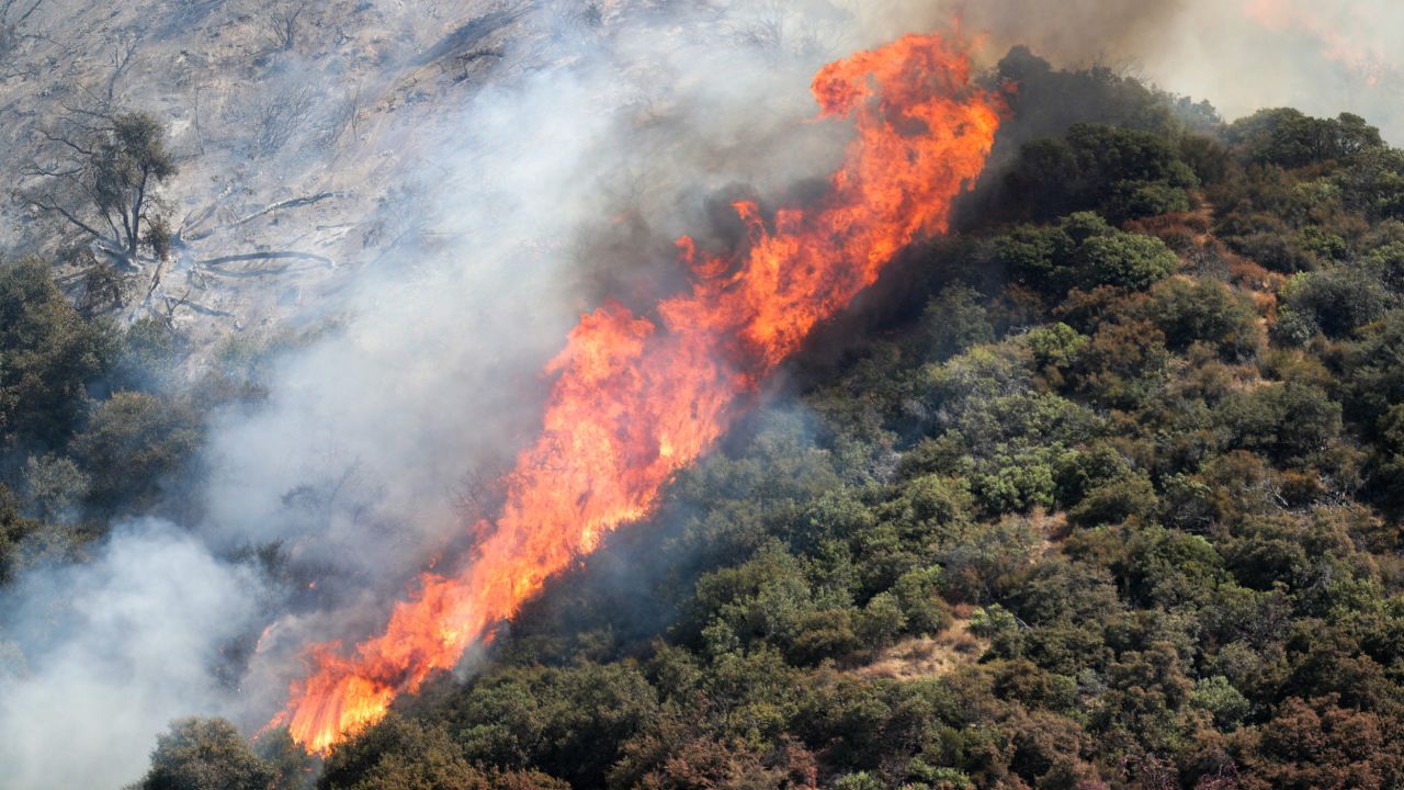 The El Dorado Fire burns in the San Bernardino National Forest near Oak Glen, California, on Sunday, September 6, 2020. 