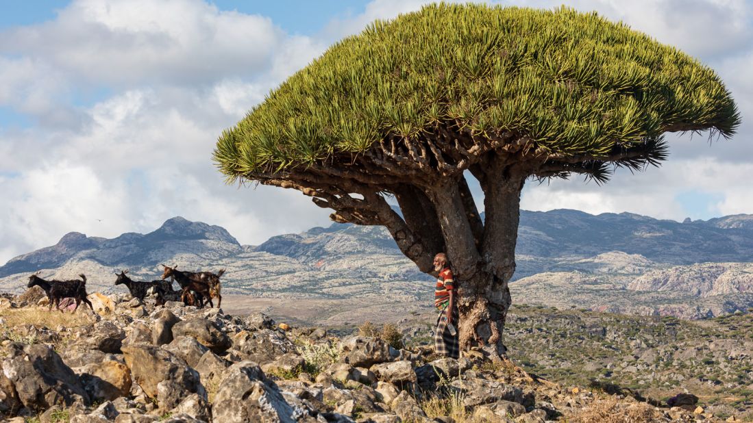 <strong>Saving Socotra:</strong> Travel writers Hilary Bradt and Janice Booth have launched a crowdfunding appeal to raise the finances to publish the"first and only" guidebook to Socotra, an island off the Horn of Africa.