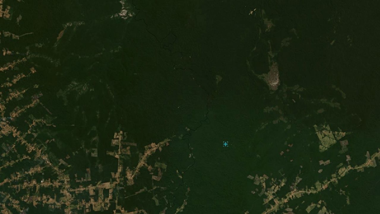 Satellite view of forests in southern Amazonas state in July 2019