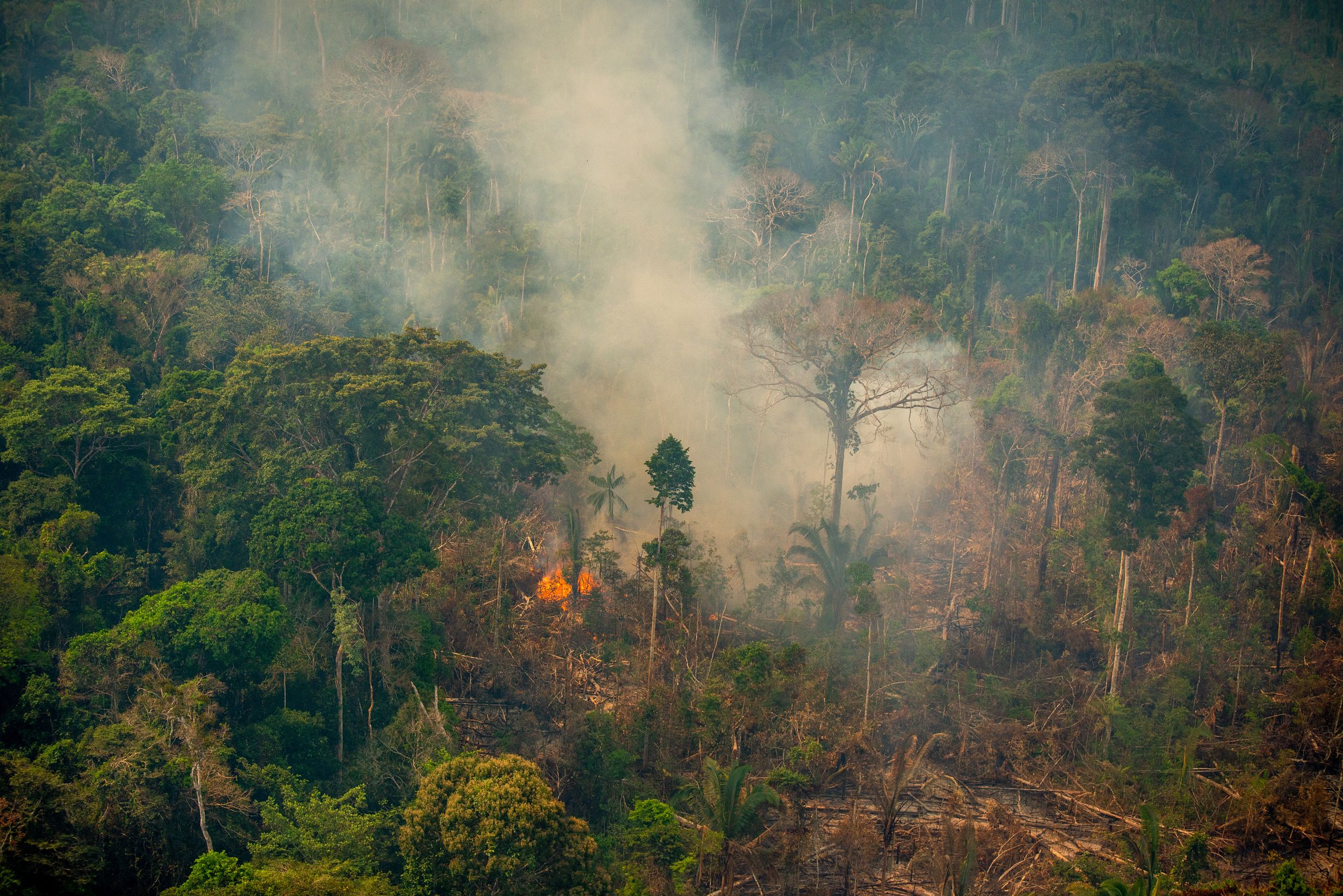 Unchecked fires could turn the Amazon into a savannah | CNN