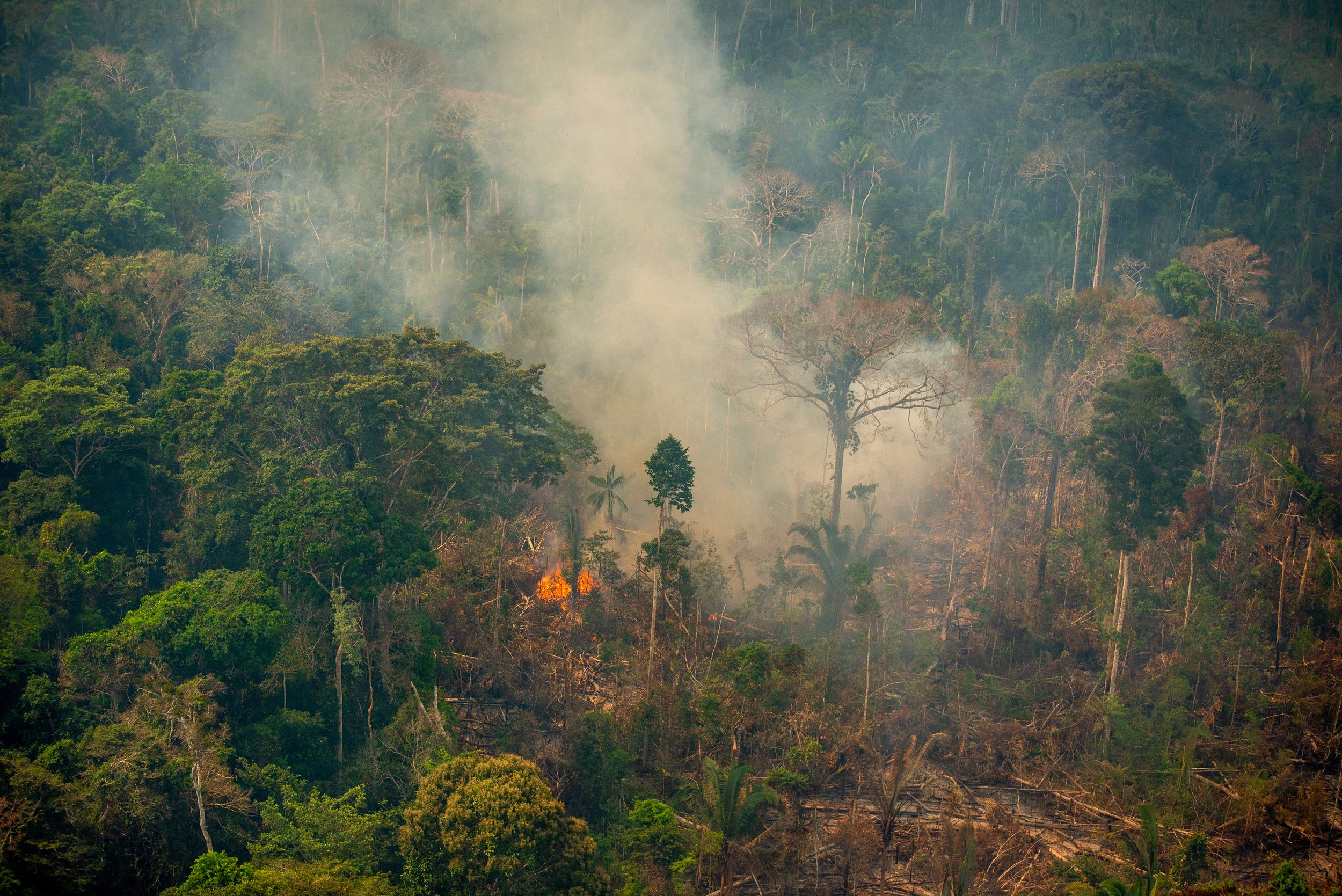 Unchecked fires could turn the Amazon into a savannah | CNN Unchecked fires could turn the Amazon into a savannah | CNN