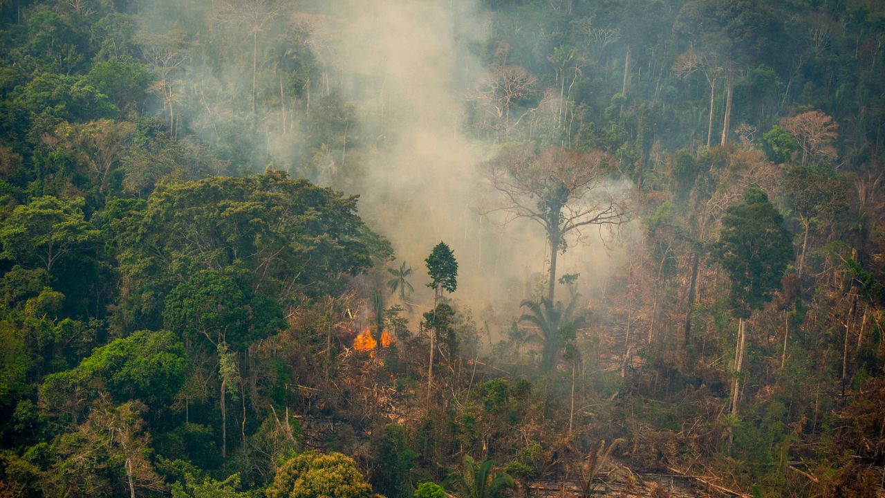 Fire in the Jaci-Paraná Extractive Reserve, in Porto Velho, Rondônia state, in mid-August.
