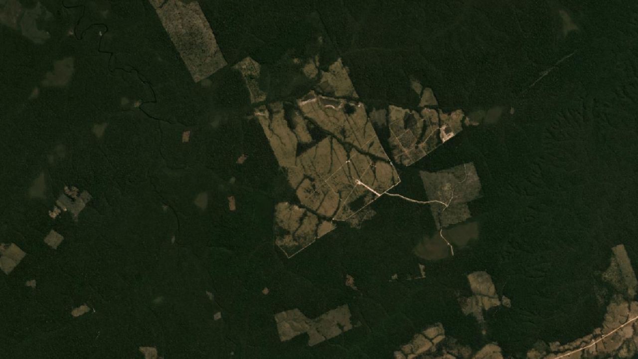 Satellite view of forests in Apui in July 2019.