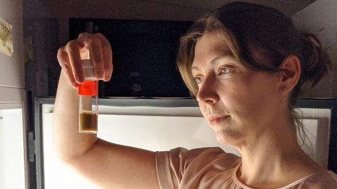 At a lab incubator, neuroscientist Sofia Axelrod examines fruit fly strains, which are kept in precisely defined light/dark cycles to entrain their circadian rhythm.