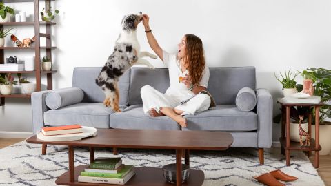 Furniture, mattresses and more home goods are on sale.