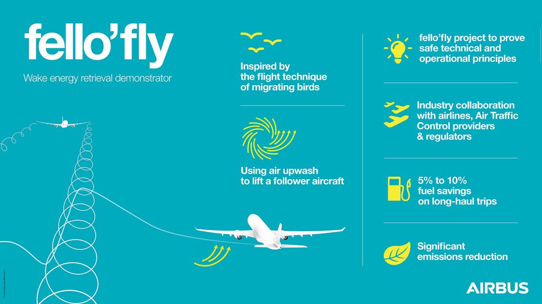 Infographic fello'fly