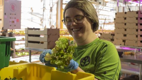 Mycah Miller, a Vertical Harvest employee, packages lettuce greens to be delivered to one of four grocery stores the vertical farm services in Jackson, Wyoming.