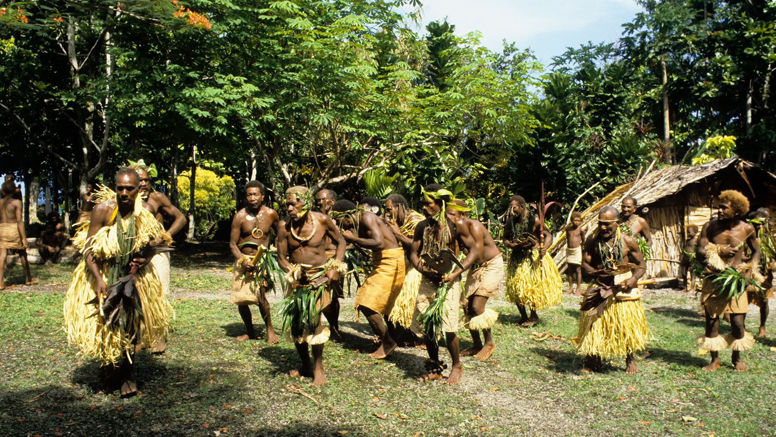 Traditional dances performed in Malaita in 1981. 