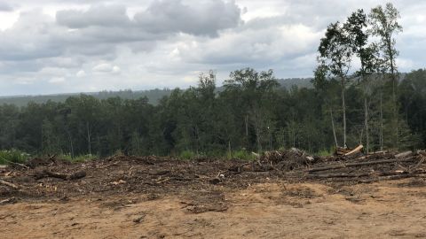 Land purchased by the Freedom Georgia Initiative in Wilkinson County, Georgia.