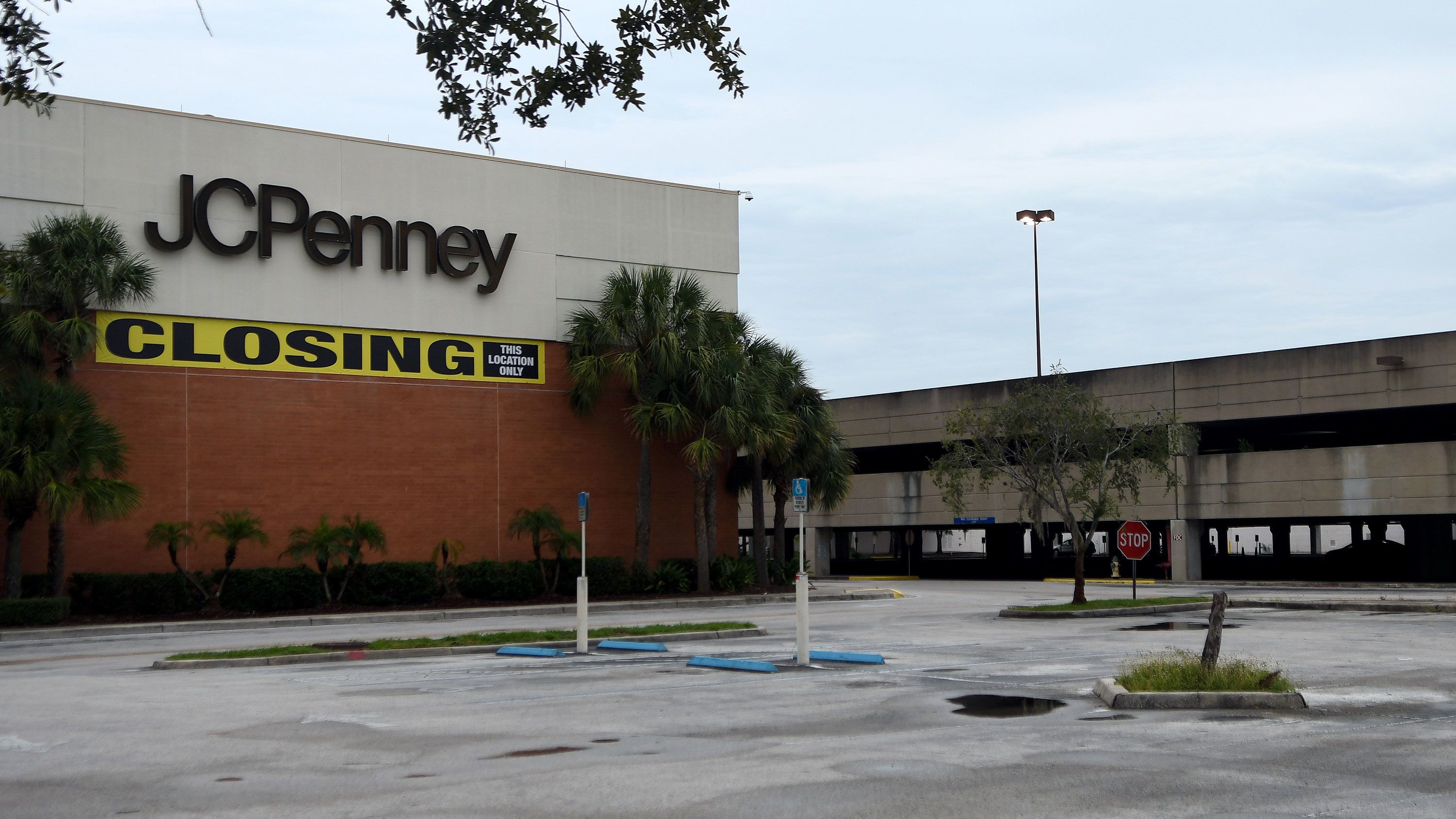 J.C. Penney (NYSE: JCP) in 2016  Three reasons why next year may be one of  its best years yet - Dallas Business Journal