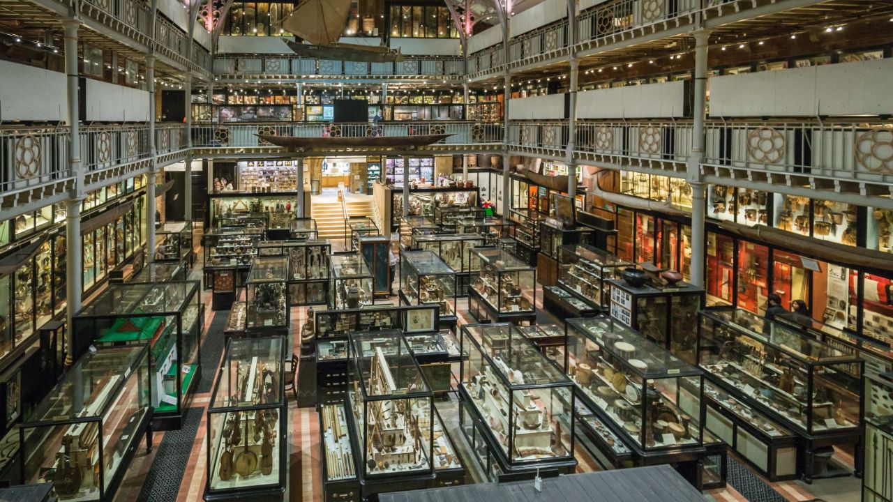 Pitt Rivers by Ian Wallman