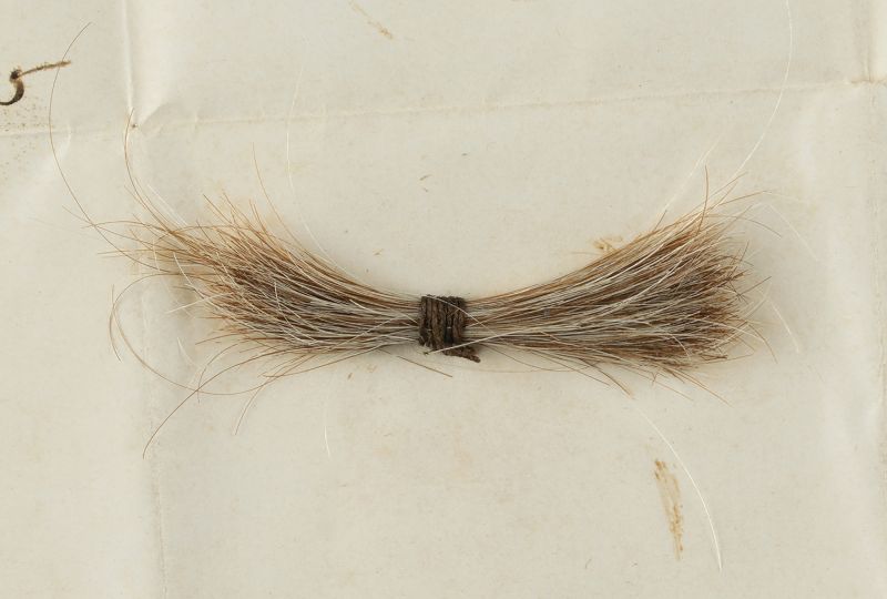 Lock of hair of Edward IV  Society of Antiquaries of London