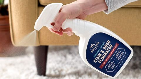 Rocco & Roxie Supply Professional Strength Stain and Odor Eliminator