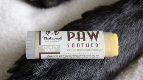 Natural Dog Company Paw Soother