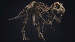 Earth’s first mammals lived much longer than their modern counterparts ...