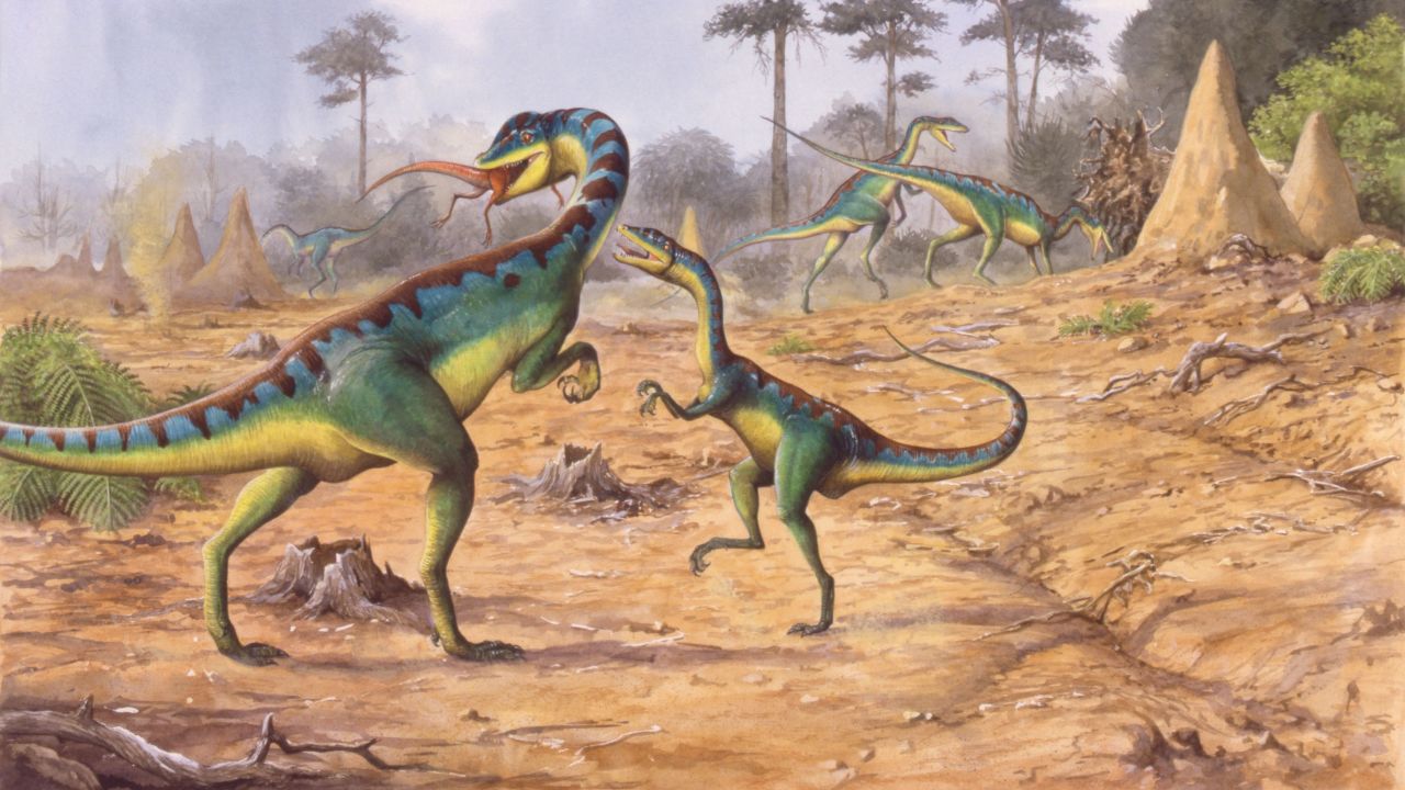 The newly identified mass extinction event helped dinosaurs to dominate the Earth.