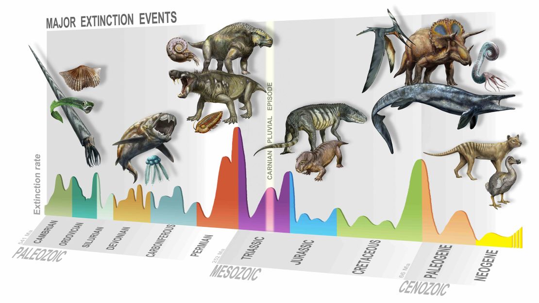 Summary of major extinction events through time, highlighting the newly identified Carnian Pluvial Episode at 233 million years ago.