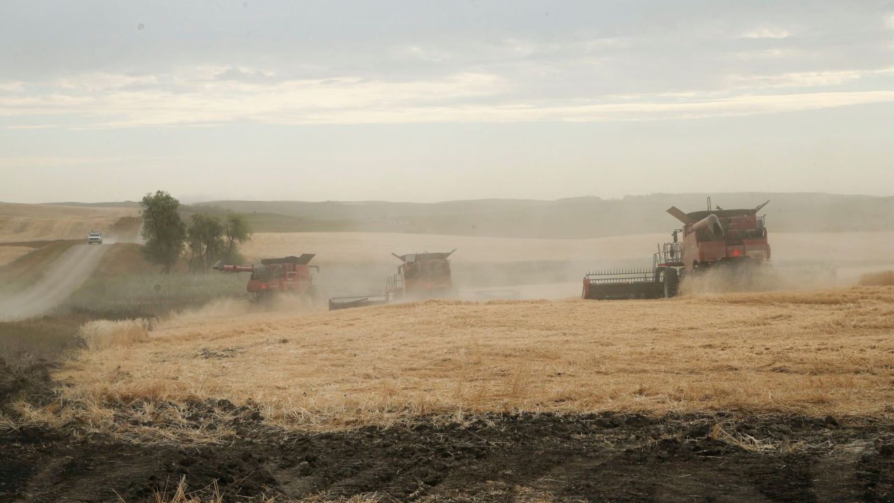 Some of the 11 combines at work harvesting Lane Unhjems farm near Crosby, North Dakota.