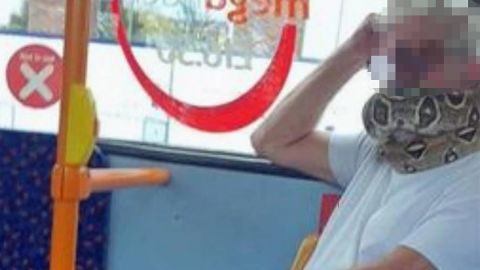A man (seen here with his identity obscured) was photographed on a bus in the UK wearing a snake as "face mask."