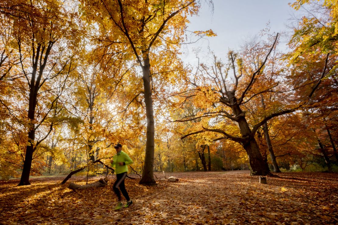 It's a beautiful time of year to get more exercise.