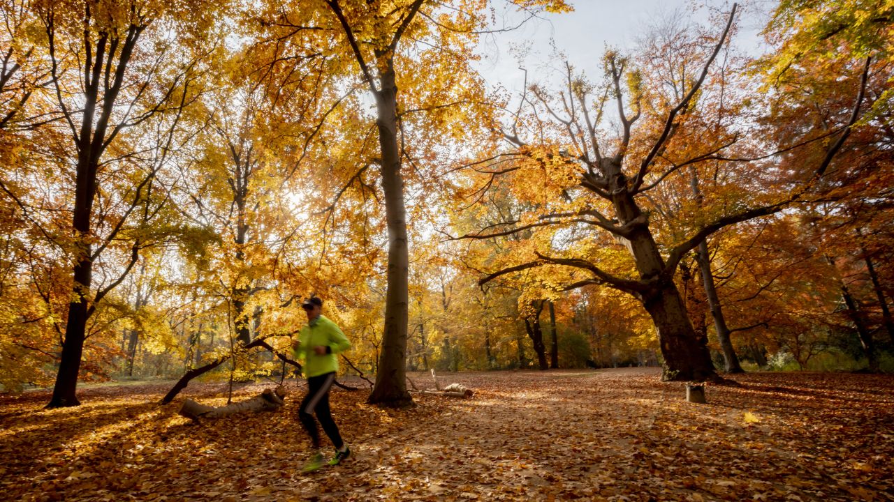 It's a beautiful time of year to get more exercise.